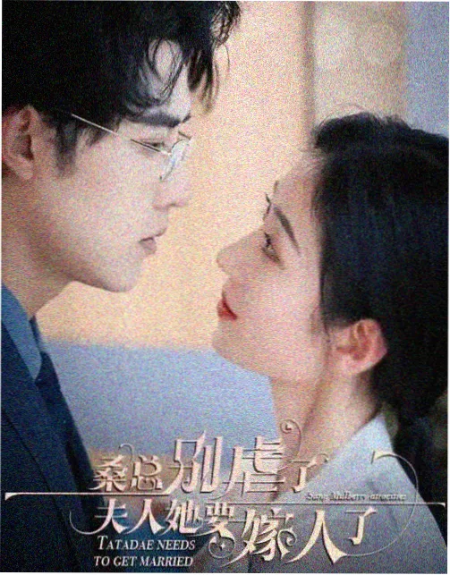 红果影视高分剧集资讯